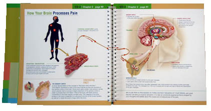 Workbook to relieve pain inside spread