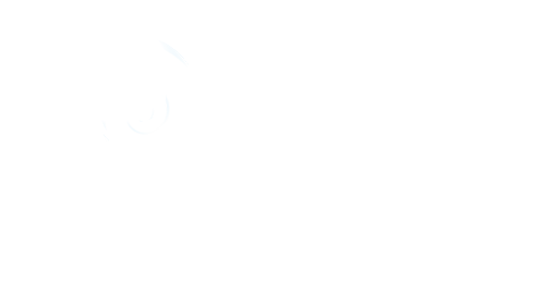 The Will to Heal Project